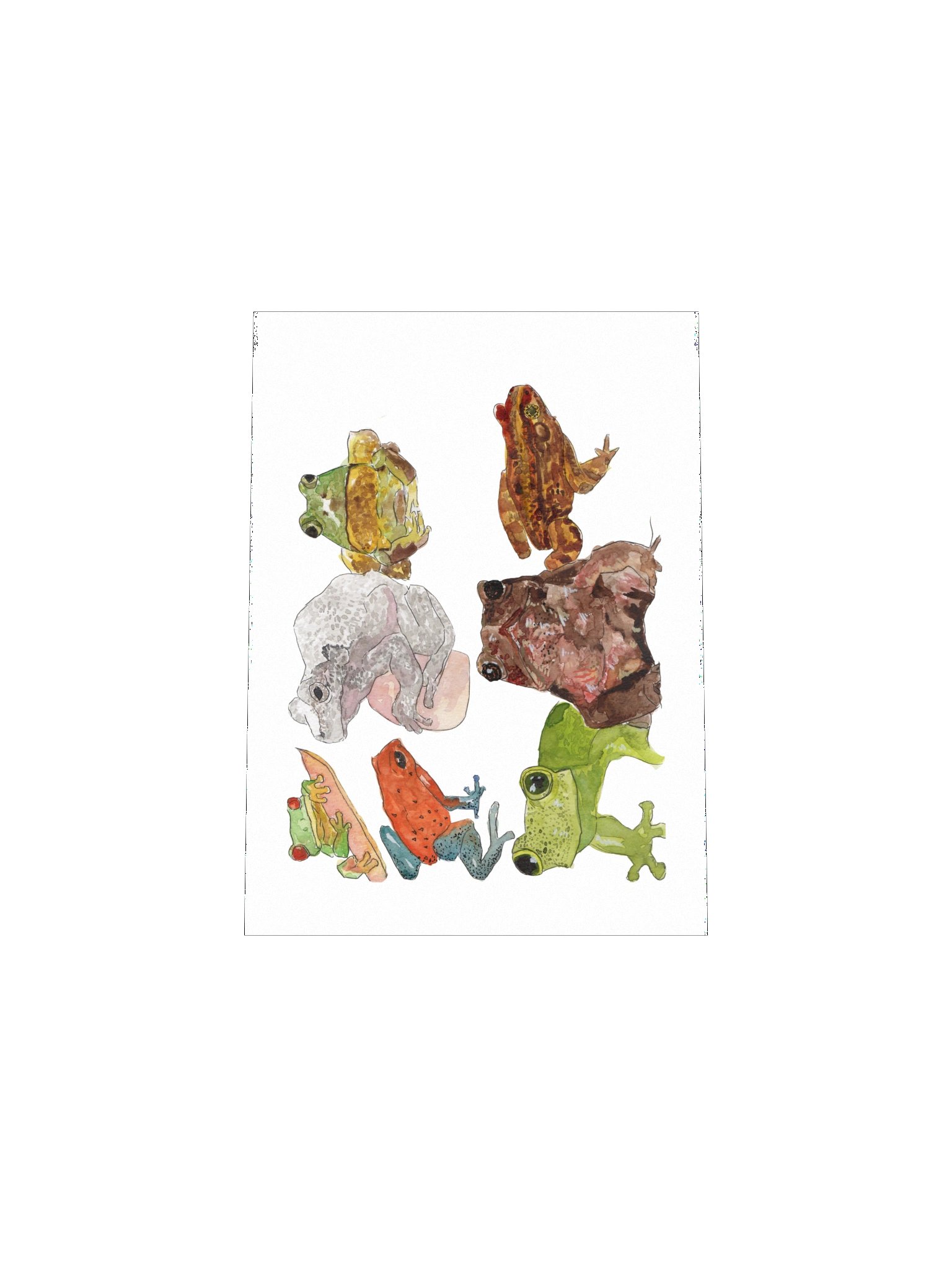 Frog Sketches Print product image (16)