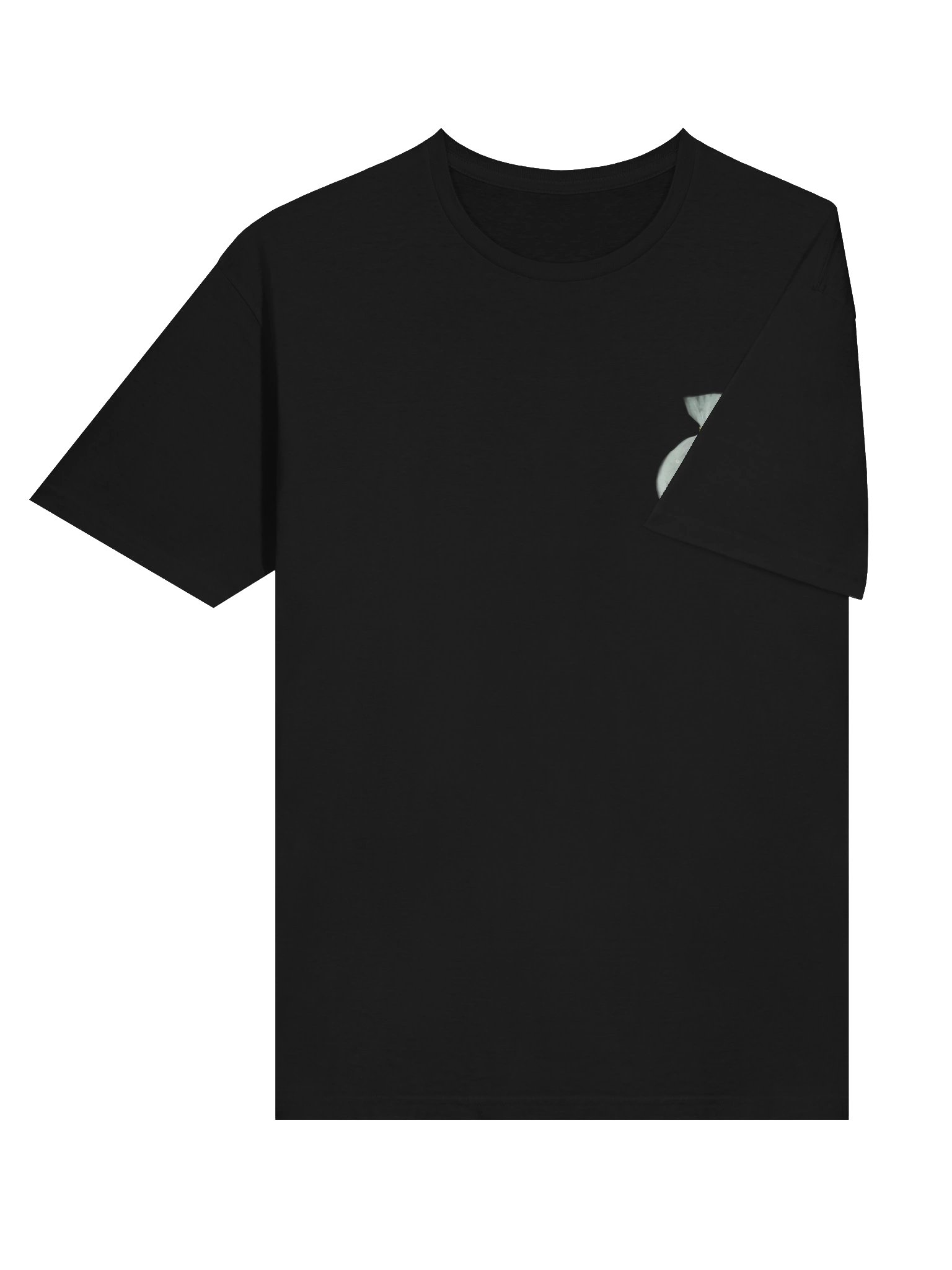 Fish Love T-shirt (Black) product image (6)