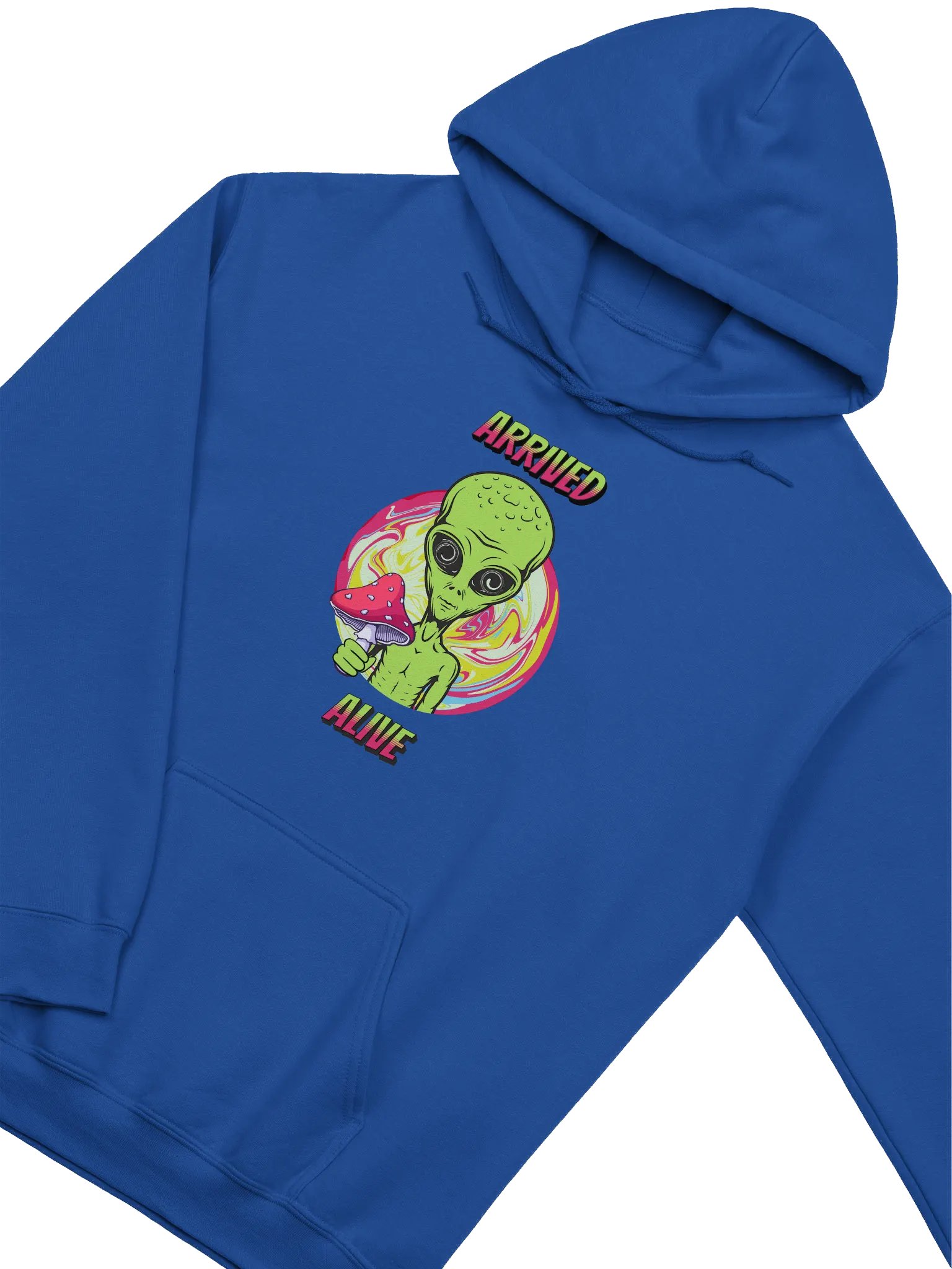 ARRIVED ALIVE ALIEN HOODIE product image (3)