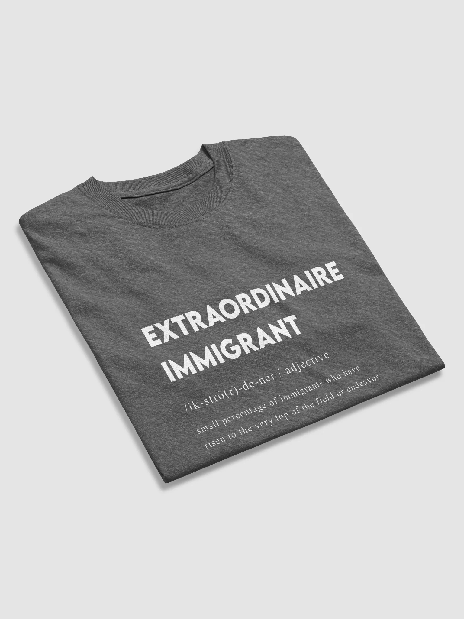 EXTRAORDINAIRE IMMIGRANT TSHIRT DARK HEATHER product image (3)
