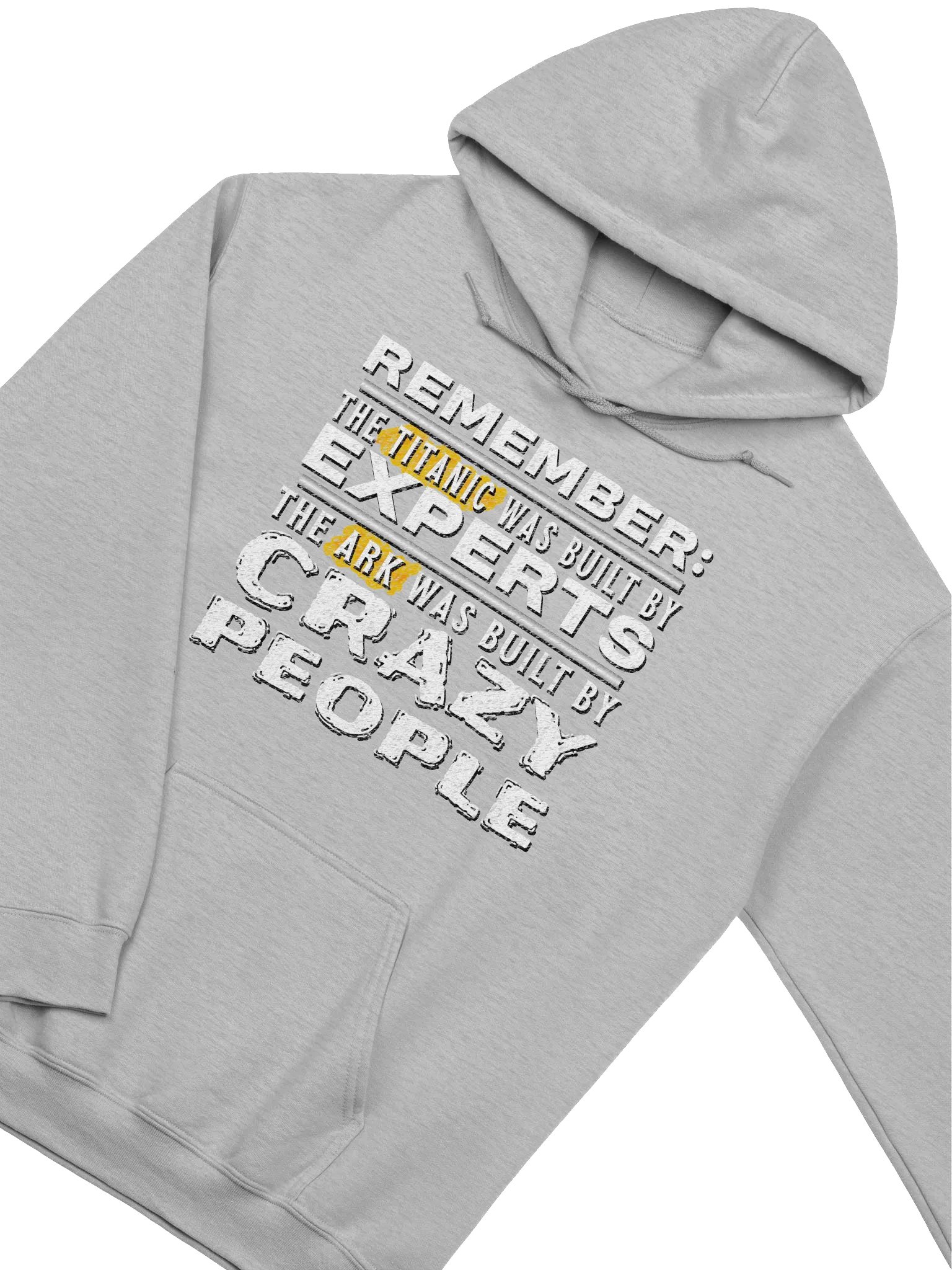The Ark Was Built By Crazy People Hoodie product image (3)