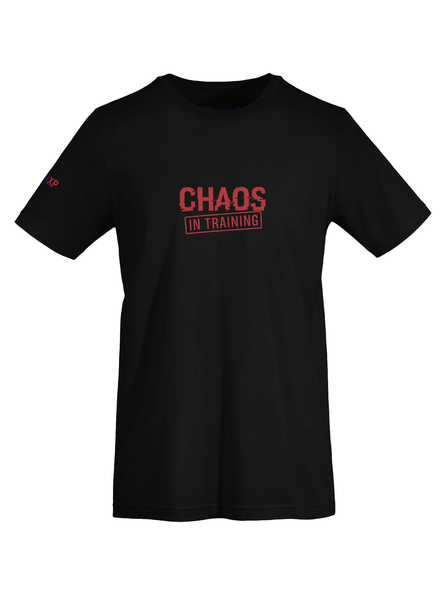 Chaos in Training T-Shirt product image (73)