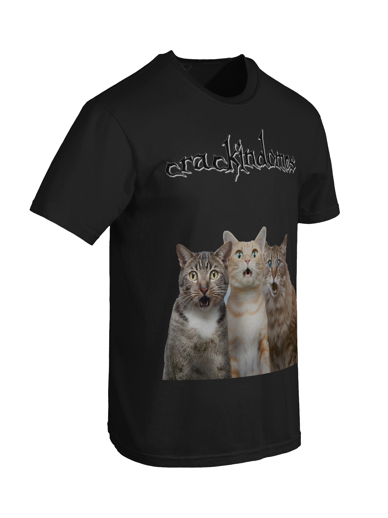 cat product image (8)