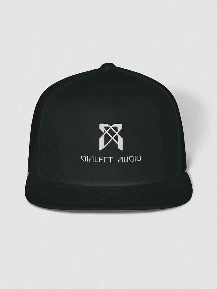 Dialect Audio Embroidered Snapback Cap product image (1)