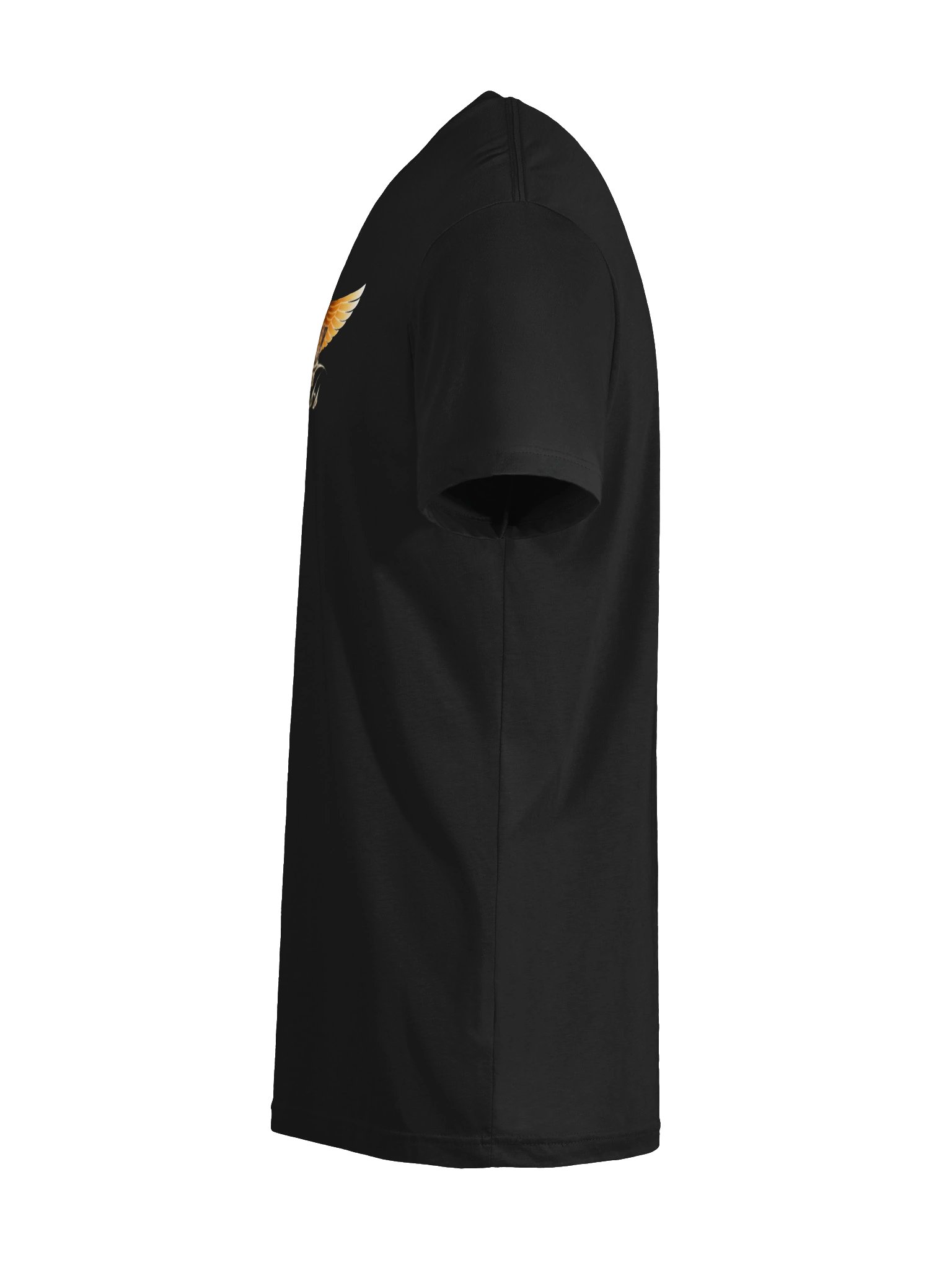 Rawheights Crown Tee product image (27)