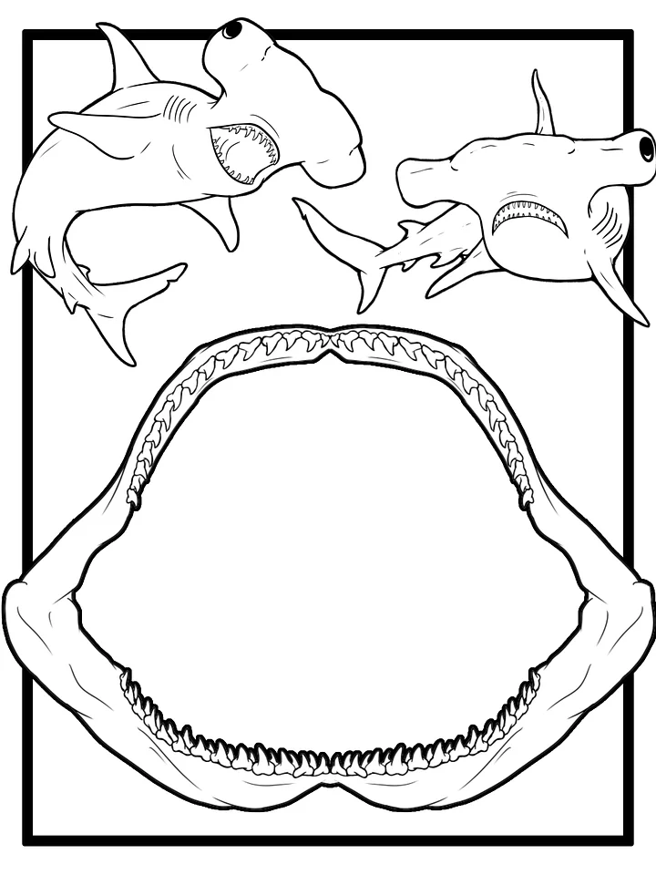 Hammerhead Coloring Pages product image (2)