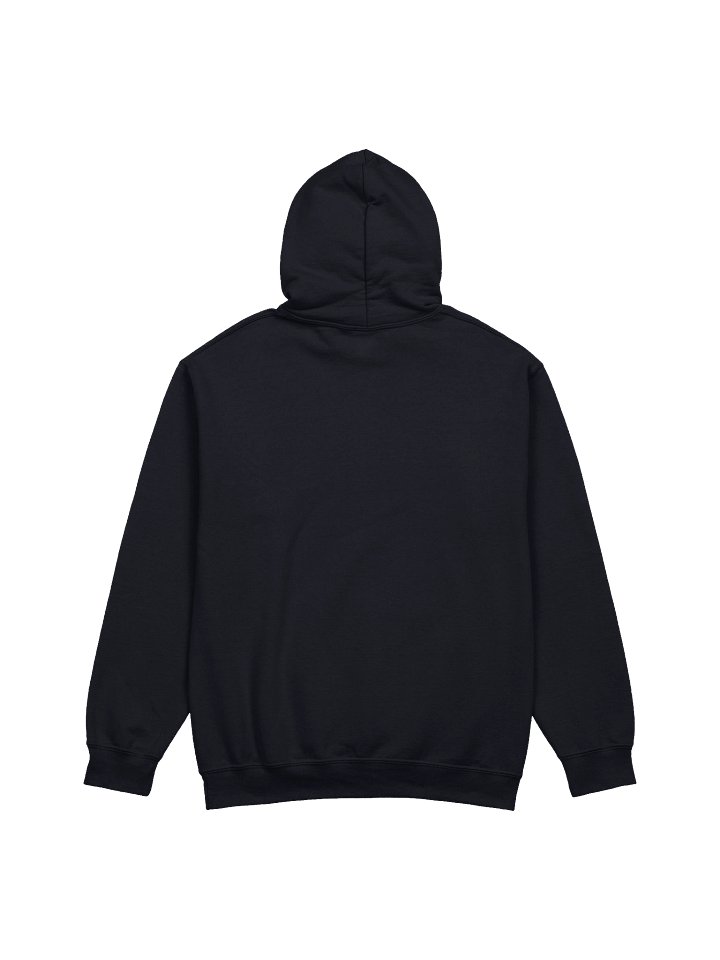 Jordan 411 Heavyweight Streetwear Hoodie product image (2)