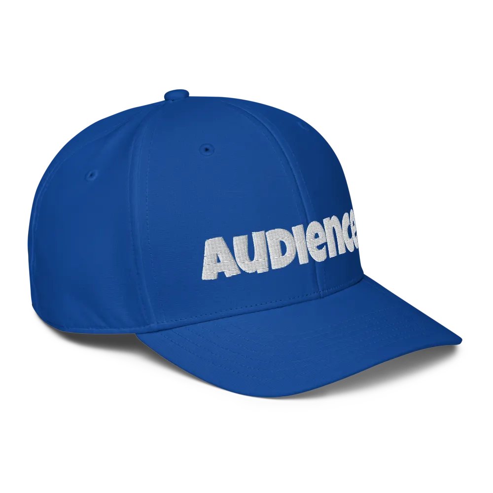 "Audience" baseball hat product image (6)