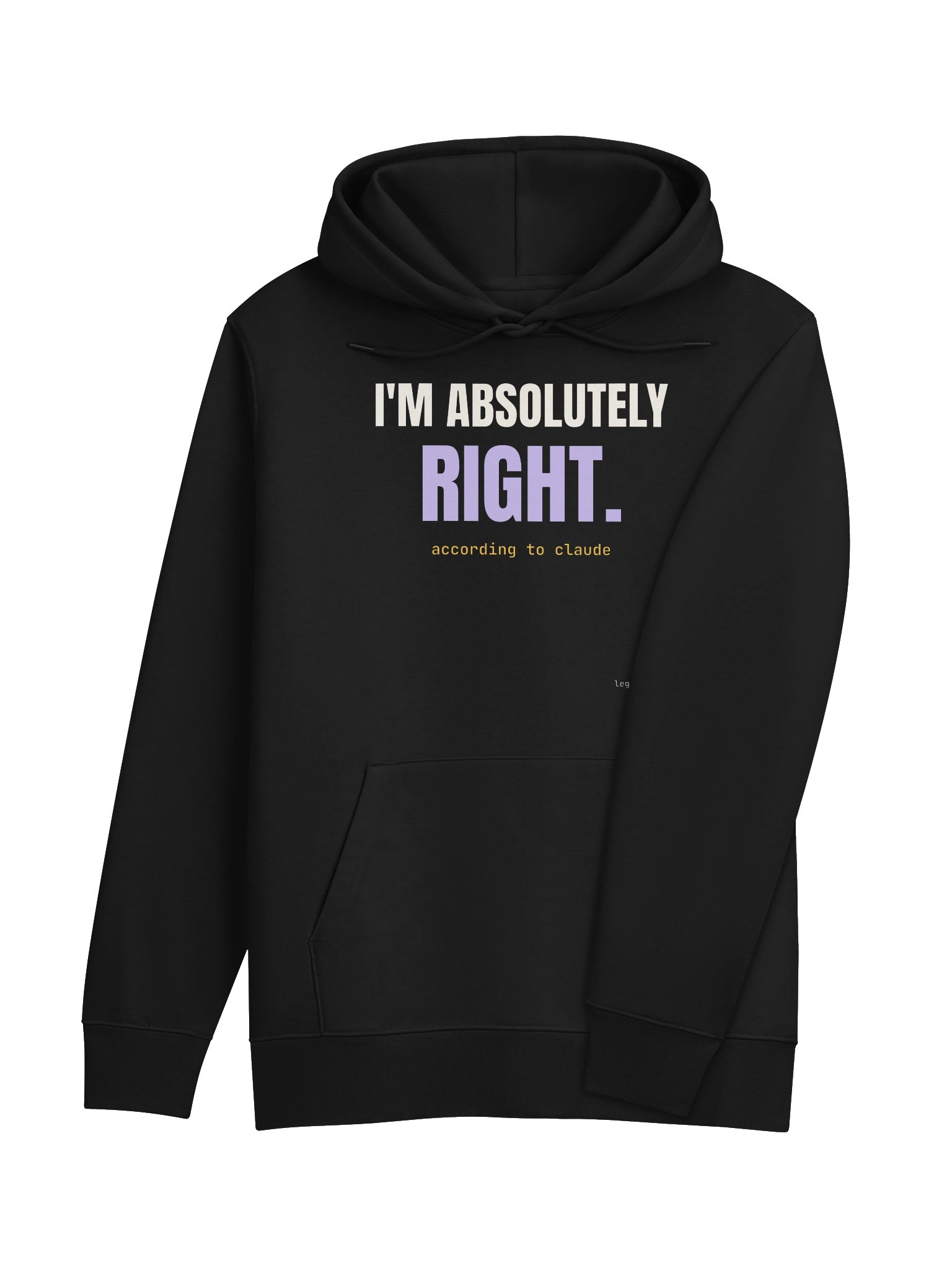 I'm absolutely right hoodie product image (7)