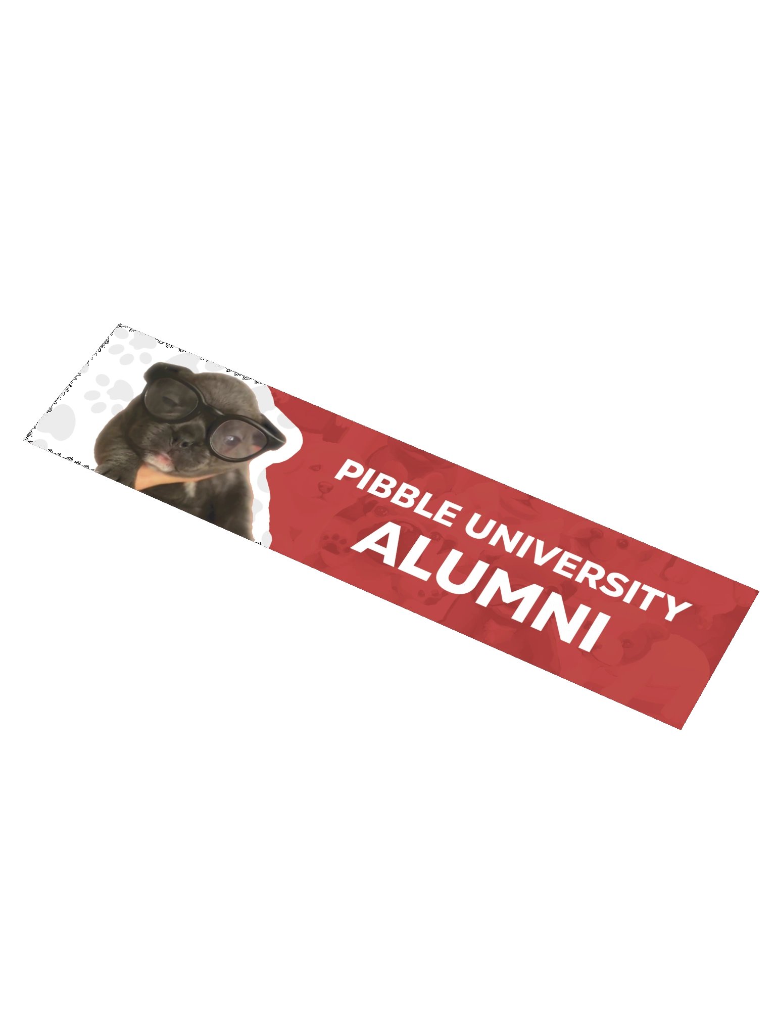 PIBBLE UNVISERITY ALUMNI BUMPER STICKER product image (1)