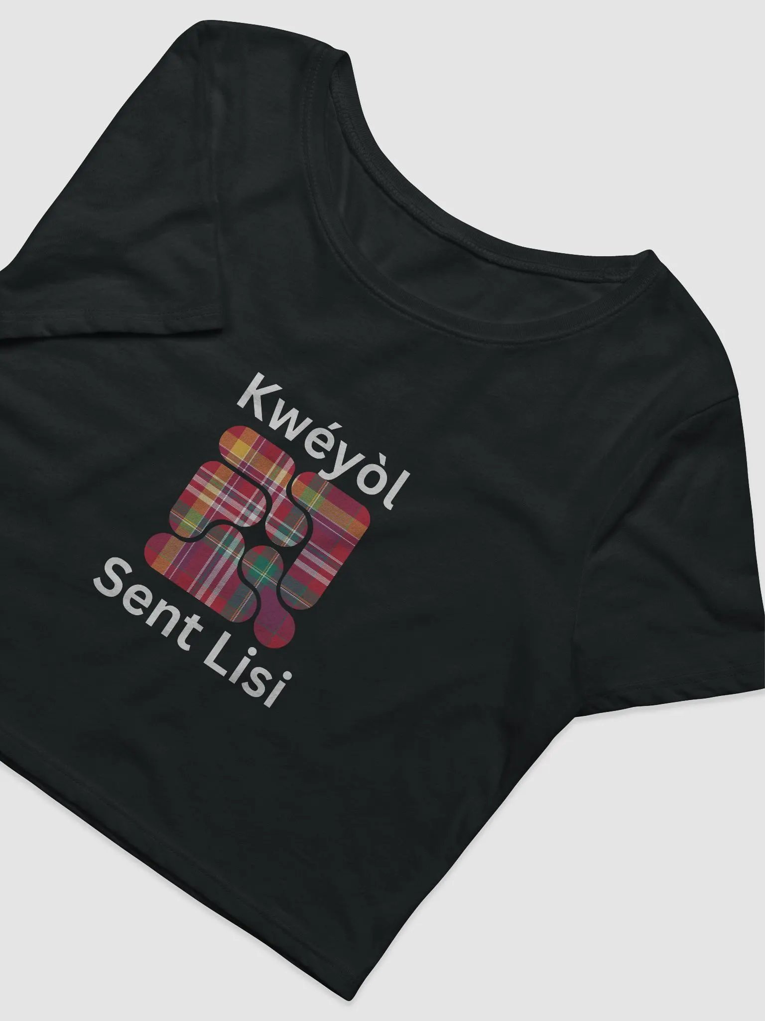 Madras Perfection Crop Tee product image (4)