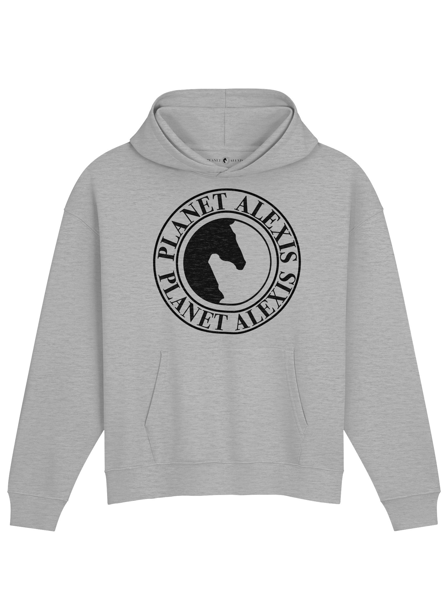 Organic Cotton Blend Hoodie product image (1)