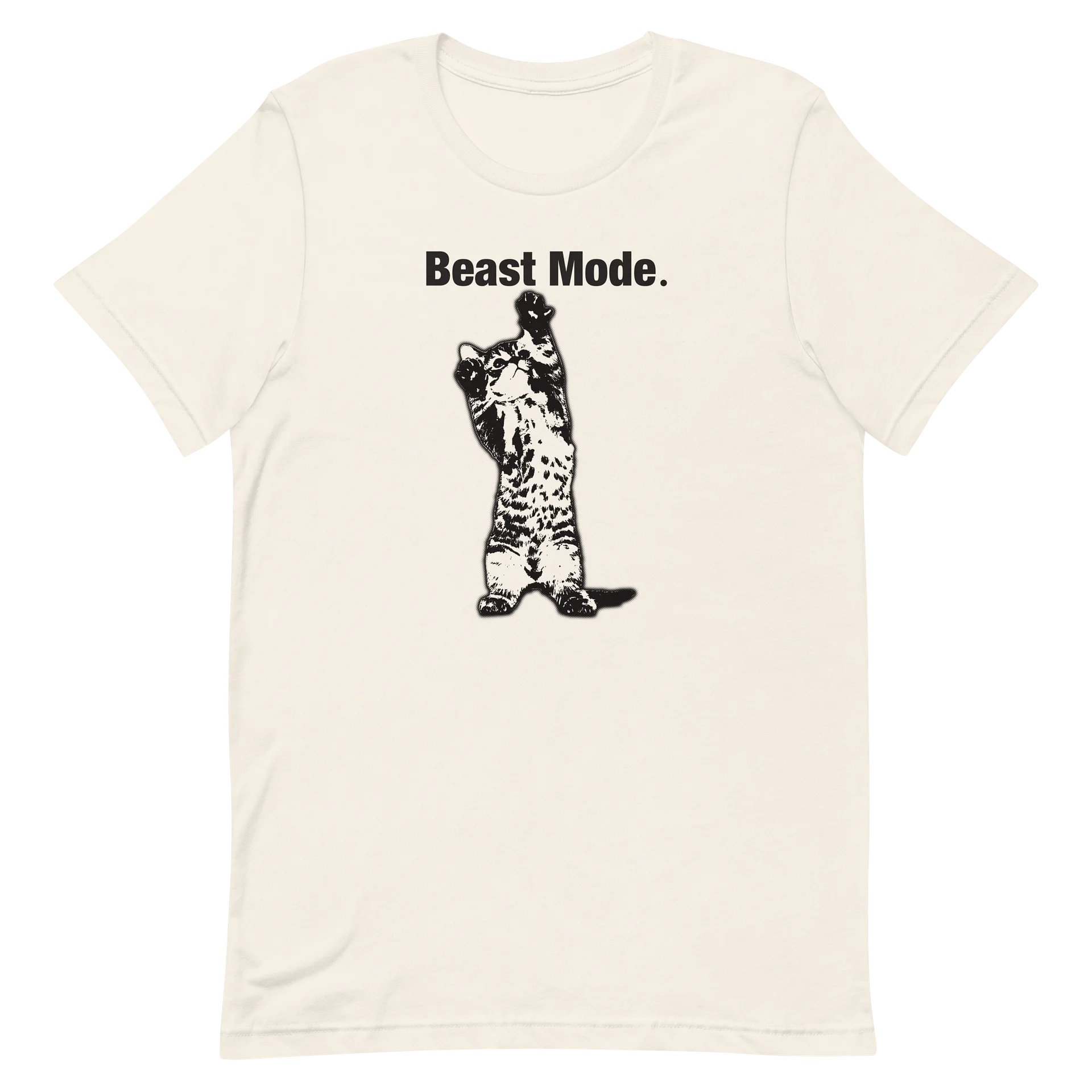 Boast Mode Graphic Tee product image (2)