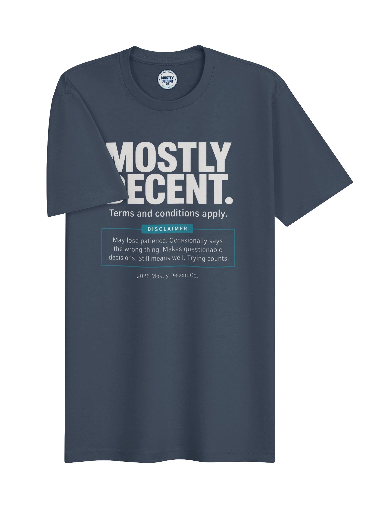 Mostly Decent Terms and Conditions T-Shirt product image (3)