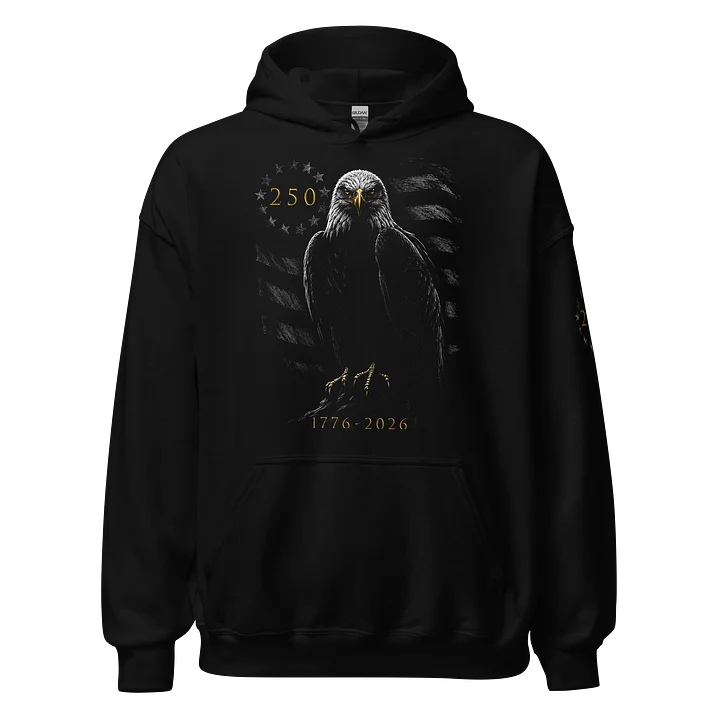 250 Eagle Shadow Hoodie product image (1)