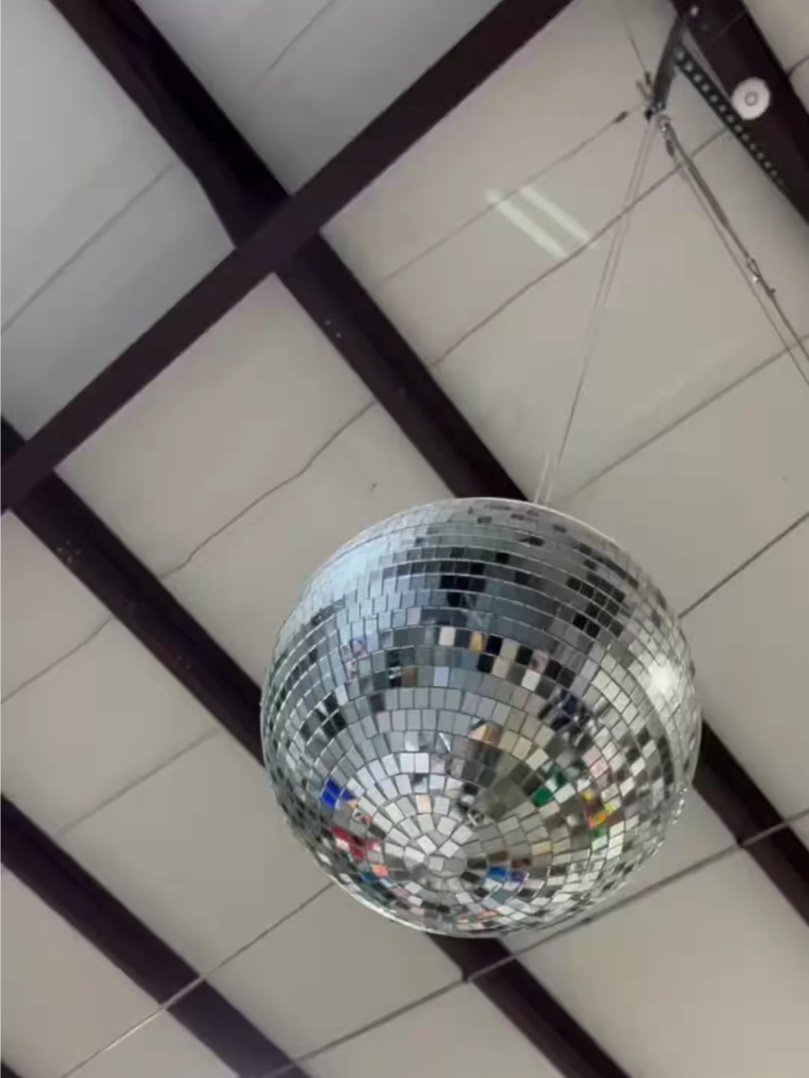 Disco Balls for Repelling Flies product image (4)