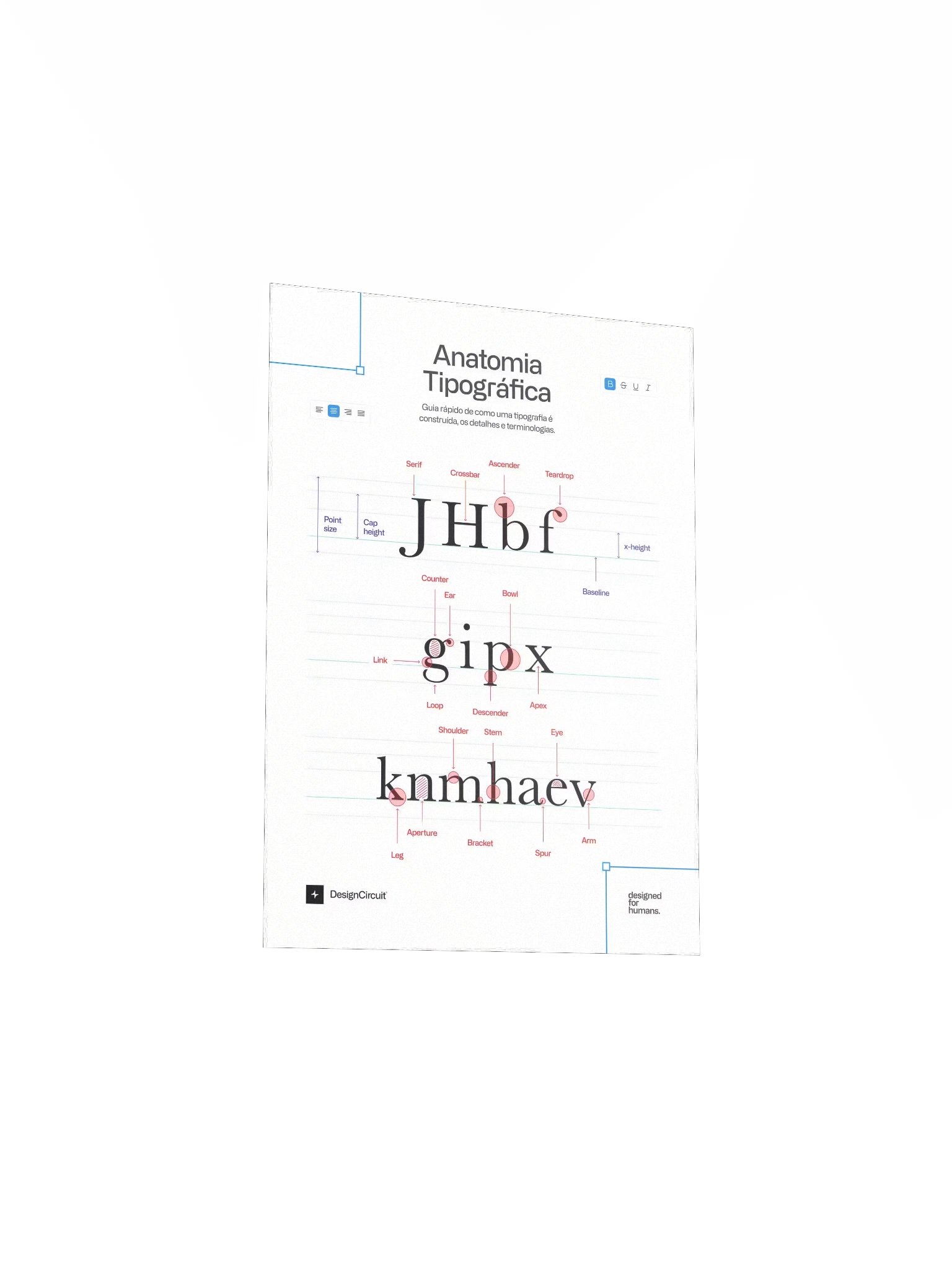 Anatomia Tipográfica — Print Guide product image (4)