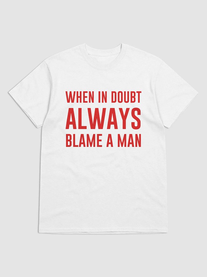 WHEN IN DOUBT ALWAYS BLAME A MAN T-Shirt product image (1)