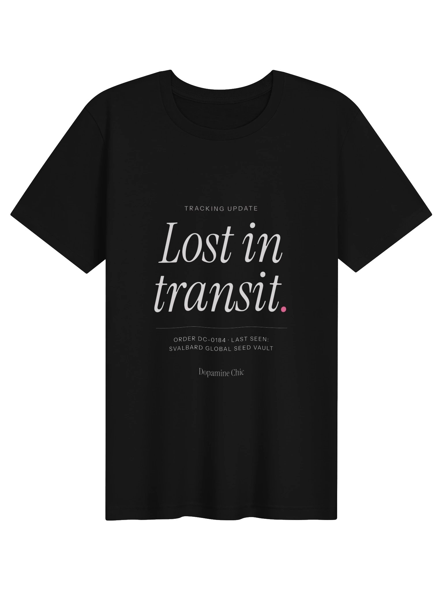 Lost in transit. product image (1)