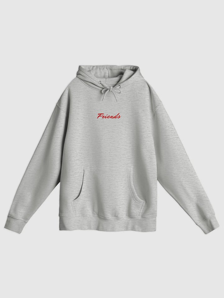 Friends we are hoodie product image (2)