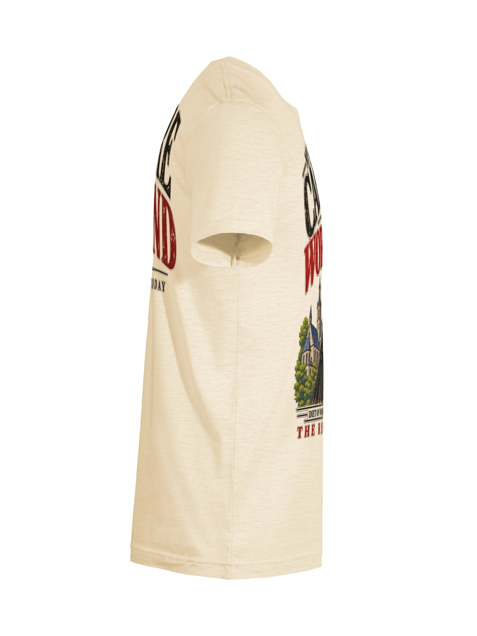 Here I Stand — Captive to the Word | Reformation T-Shirt product image (52)