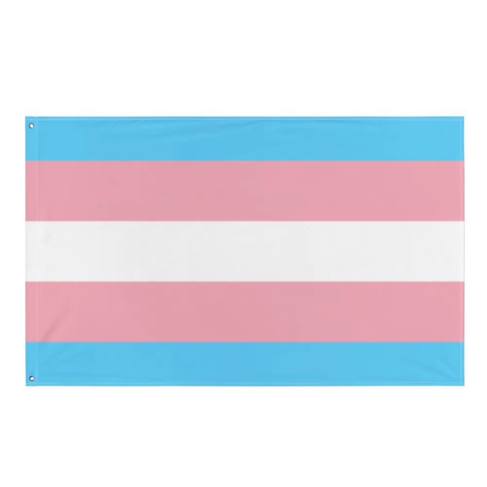 Transgender Flag product image (1)
