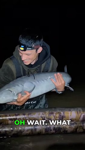 Ancient Beauty! 
#fishing #fishingvideos #sturgeonfishing #fishingreels