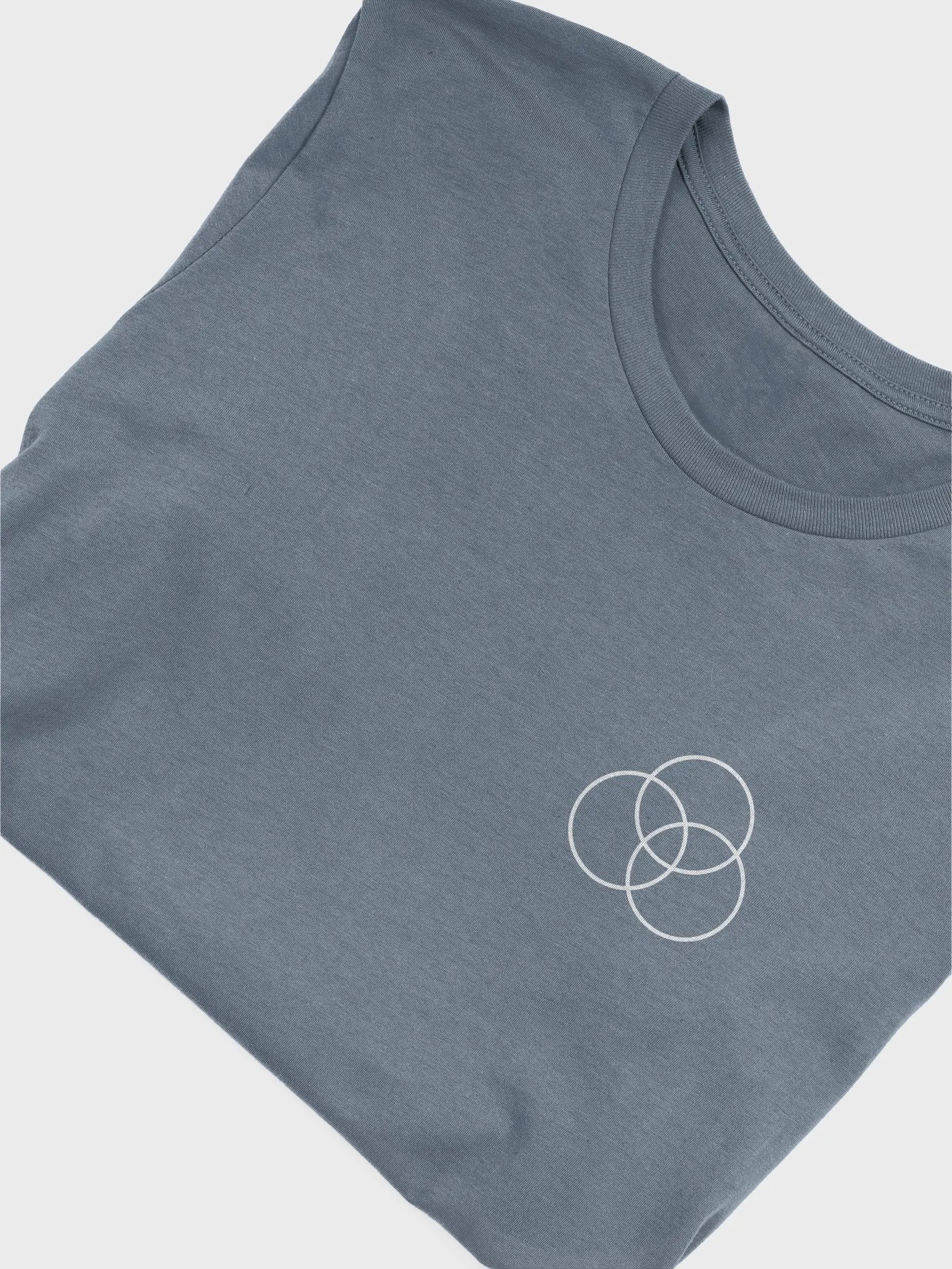 Kalkstein Chiropractic Super Soft Tee (White Logo) product image (8)
