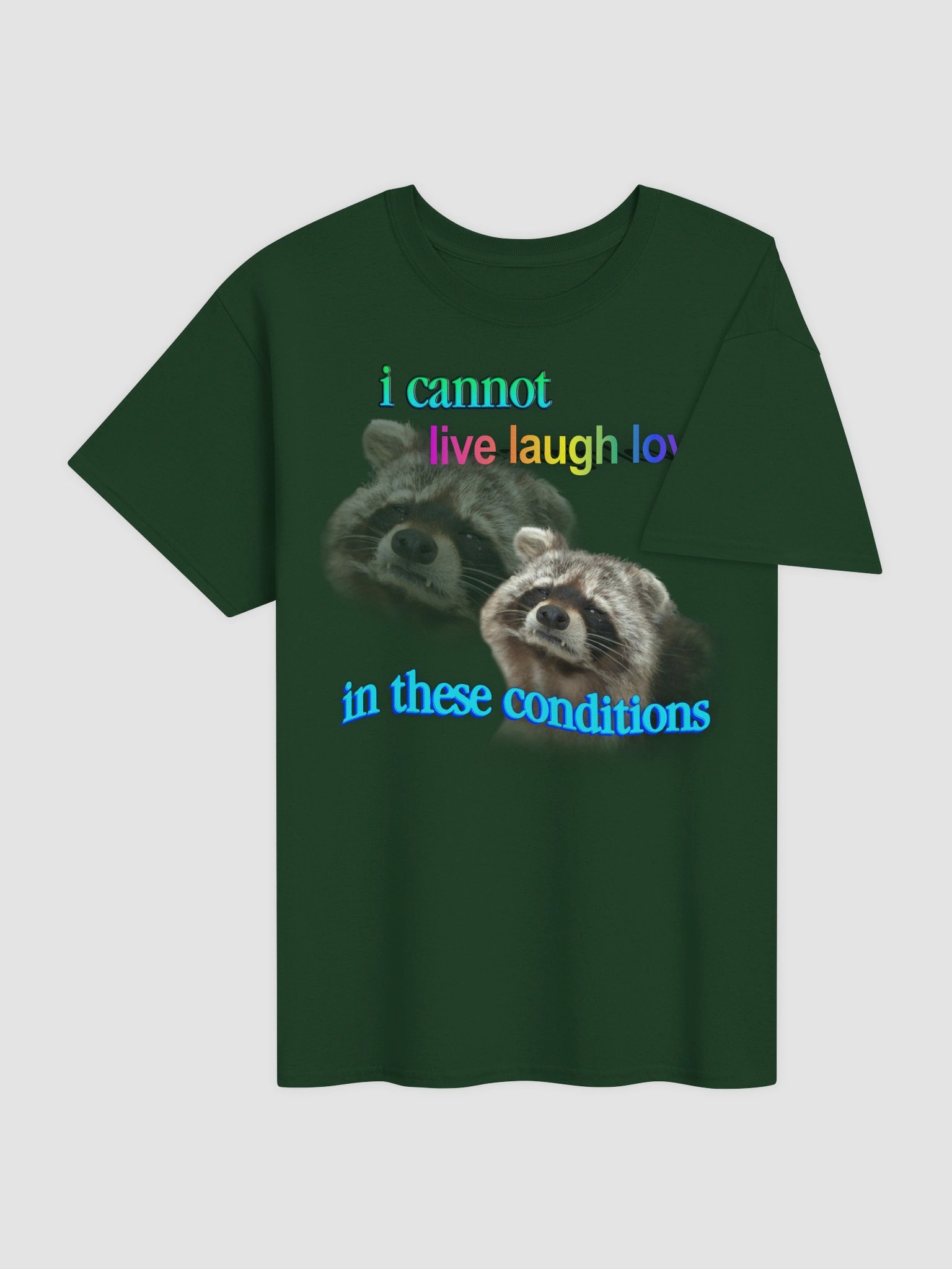 I cannot live laugh love in these conditions - raccoon T-shirt product image (5)