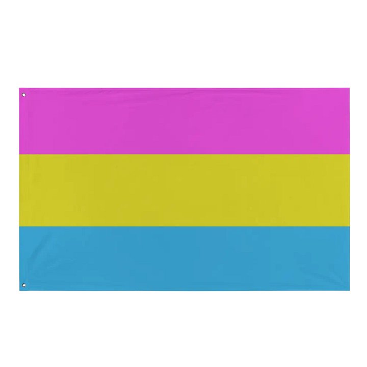 Pan Pride Flag product image (1)