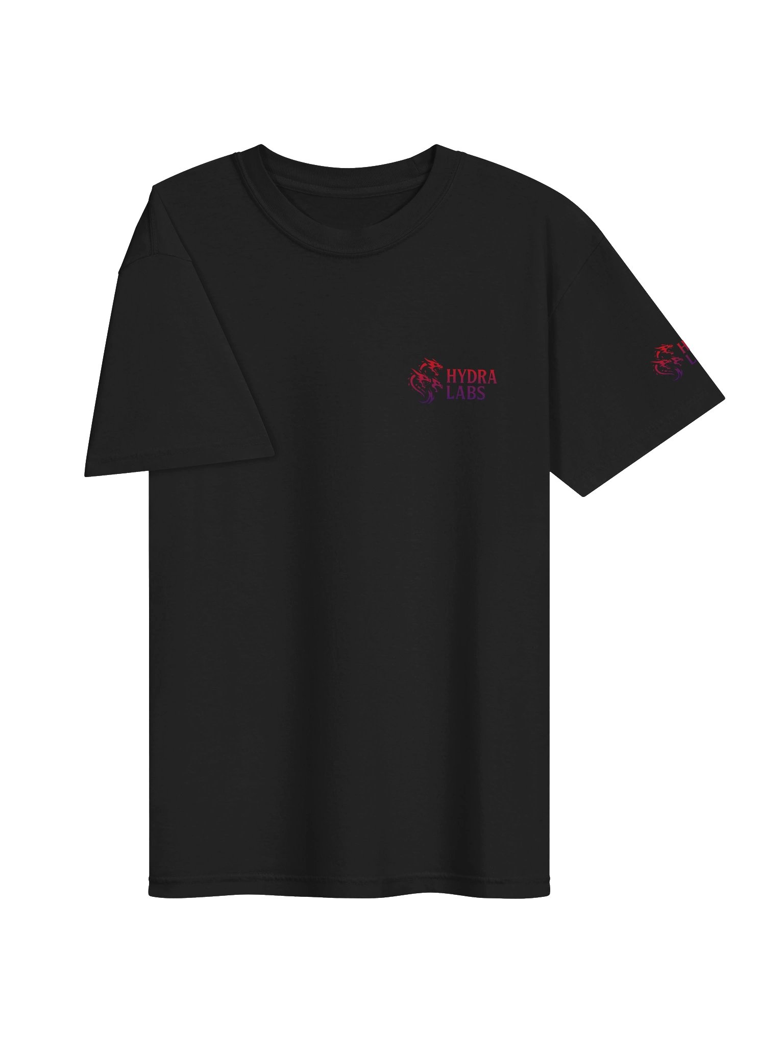 HYDRA LABS Gradient Logo Tee product image (5)