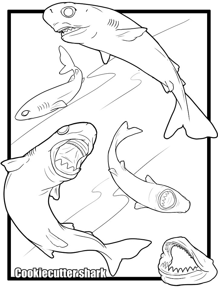 Cookiecutter Shark Coloring pages product image (2)