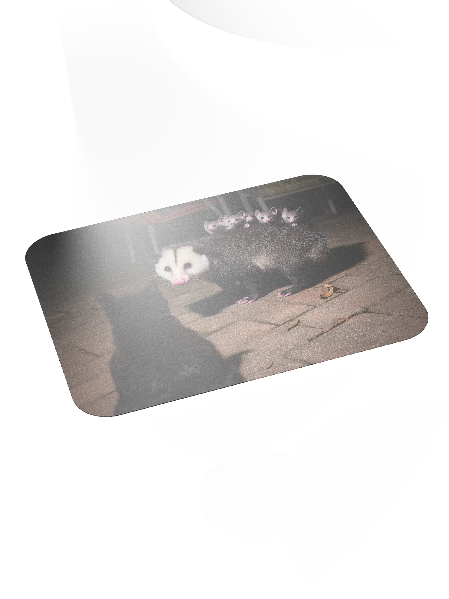 Cat meets opossum family Mouse Pad product image (4)