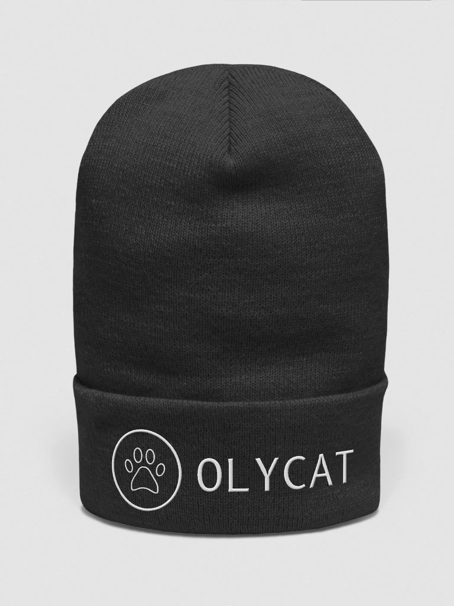 Playground Iconic Cuffed Beanie product image (1)