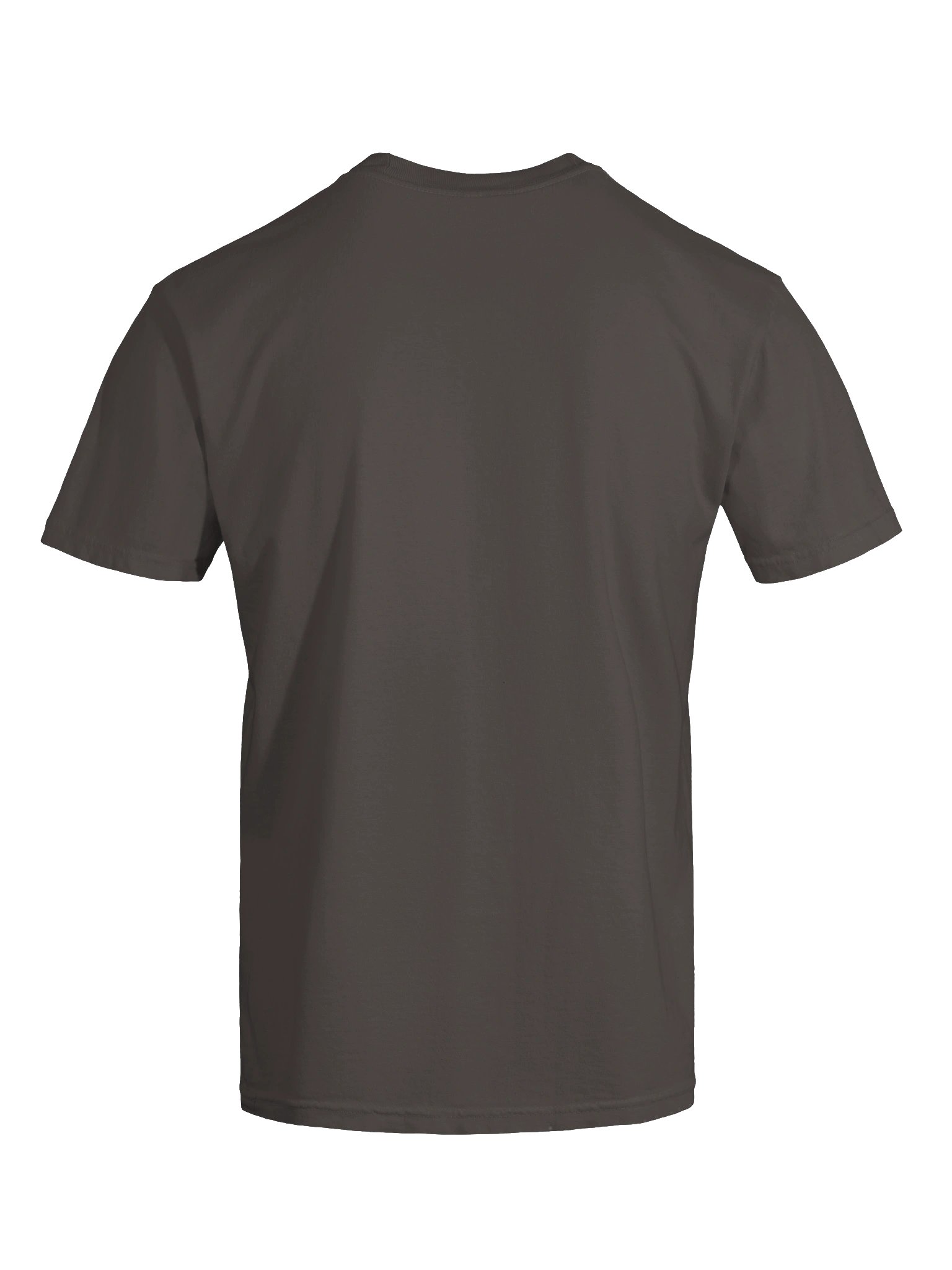 Halloween Saluki(White) Embroidered T-Shirt product image (38)