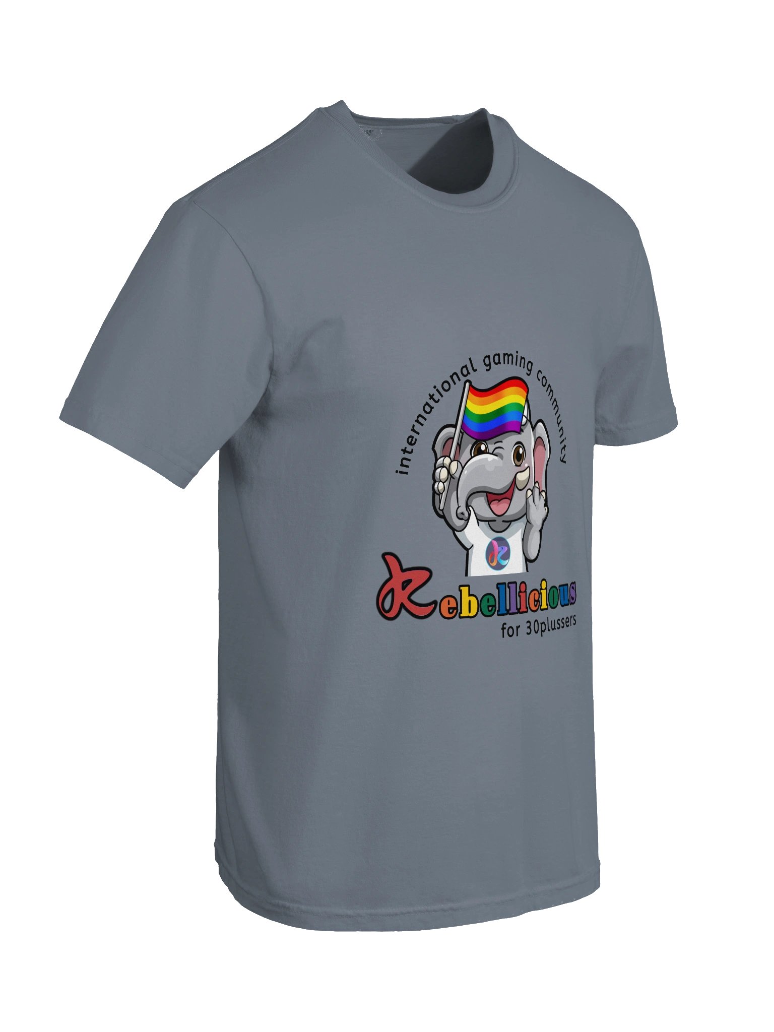 Comfort Colors Pride T-shirt product image (102)