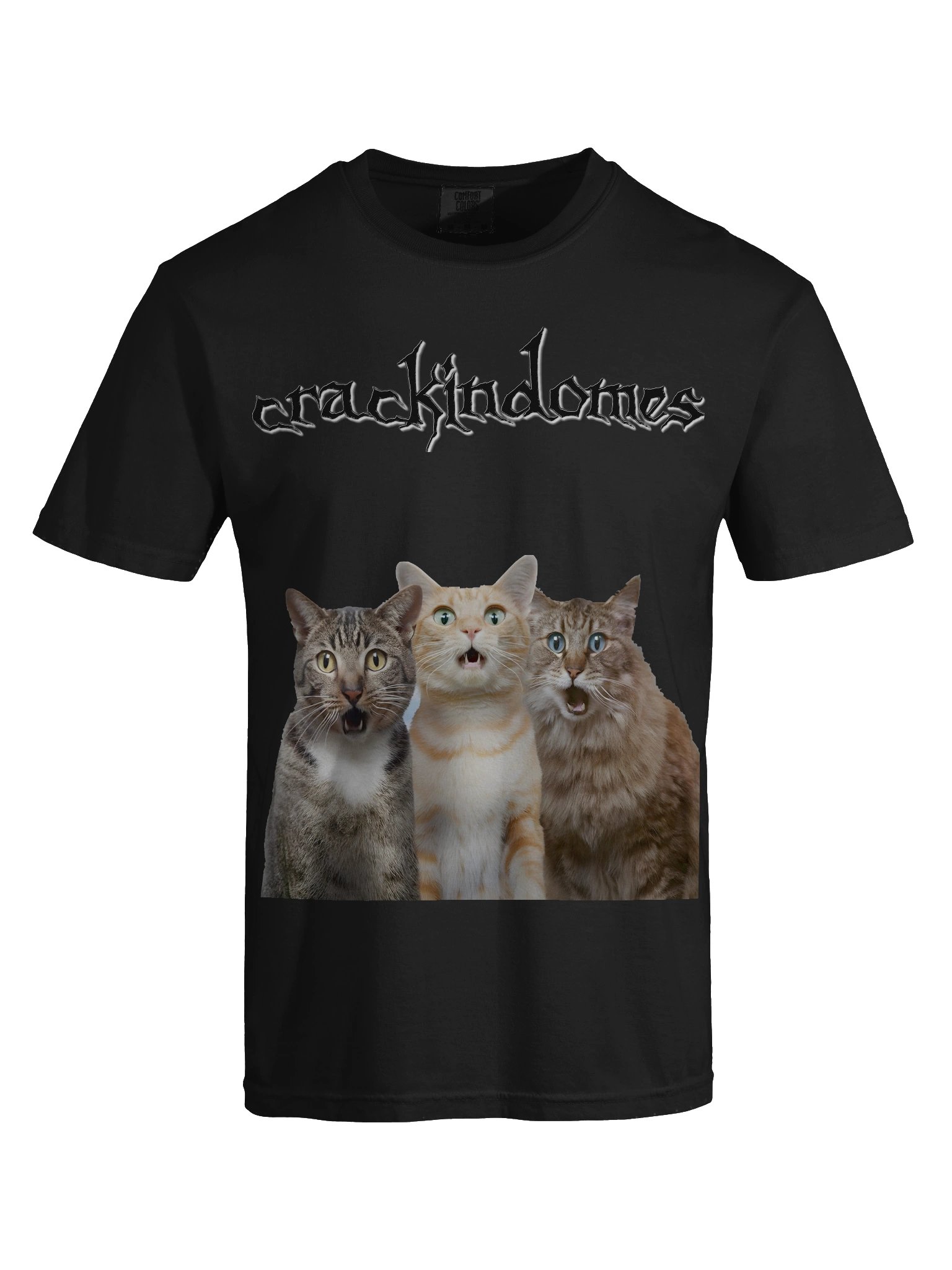 cat product image (7)