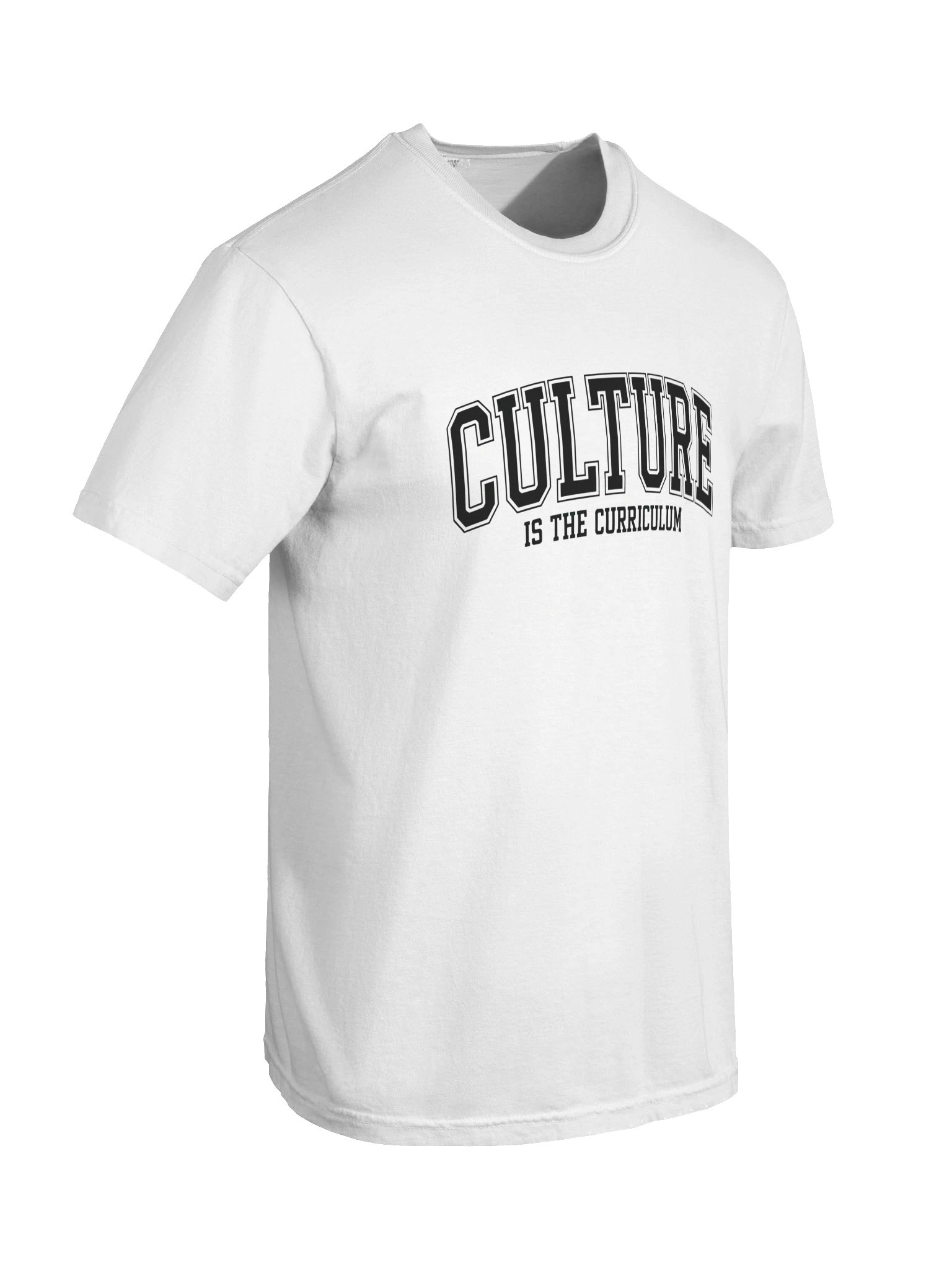 Culture Is the Curriculum T-Shirt product image (6)