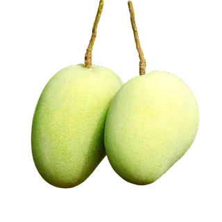 RAbilal Tudu