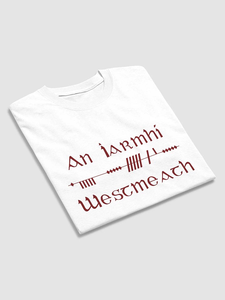 Westmeath/An Iarmhí Scholastic style Ogham white printed T-shirt product image (2)