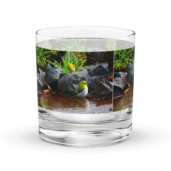 IUCAA Birds GLASS product image (1)
