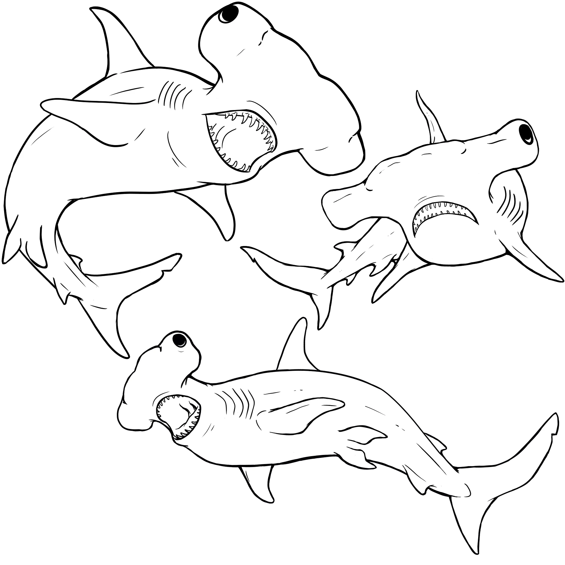 Hammerhead Coloring Pages product image (9)