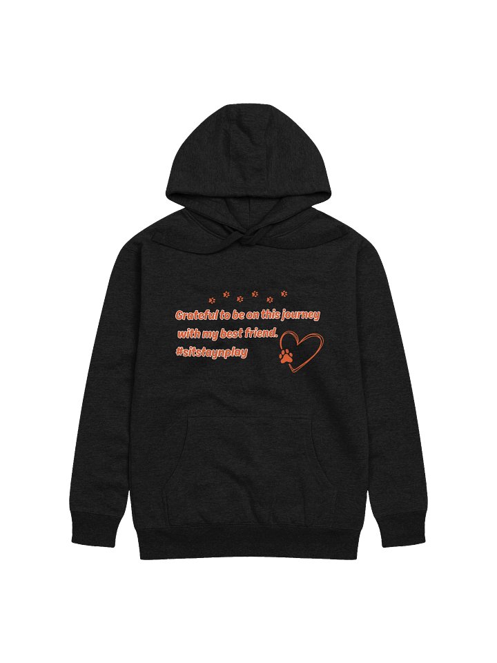 Grateful Journey Hoodie product image (3)