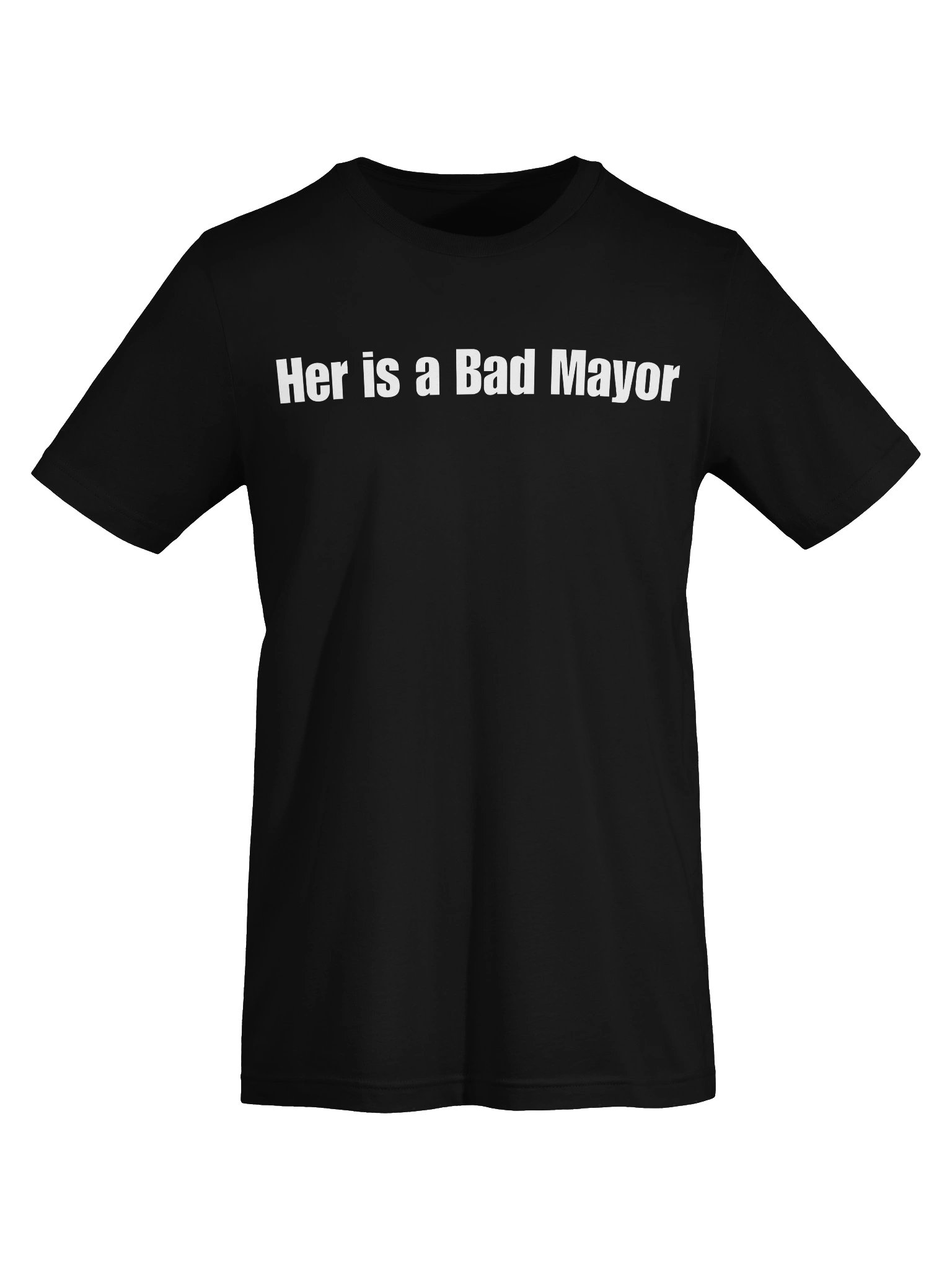 St. Paul's Mayor Problem product image (5)