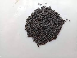 Genovese basil seeds or Italian sweet basil seeds 12g product image (2)