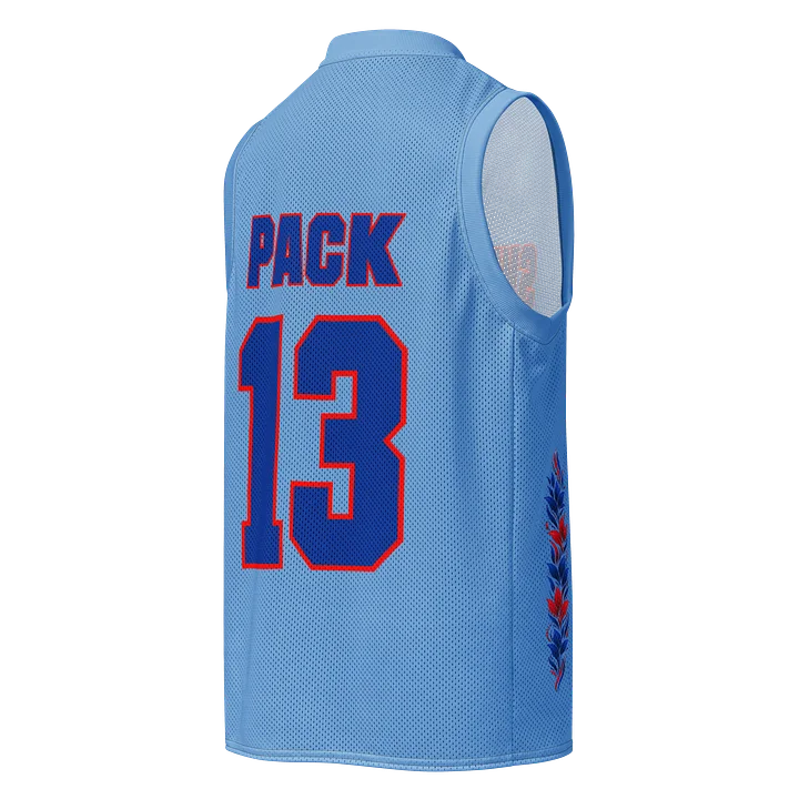 Switzen Jersey ( Drive ) product image (2)