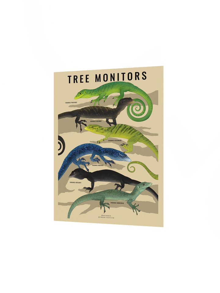 VARANUS TREE MONITOR POSTER (CREAM) product image (2)
