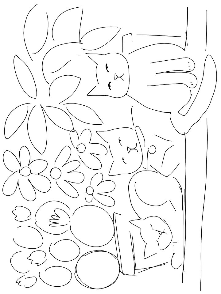 Cat & Plants Sketch product image (1)