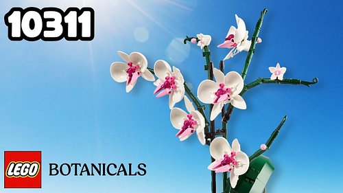 LEGO Botanicals 10311 Orchid (Unboxing & Review)

Today on DailyWeeklyBuilds, we’re taking a look at LEGO Botanicals 10311 Or...