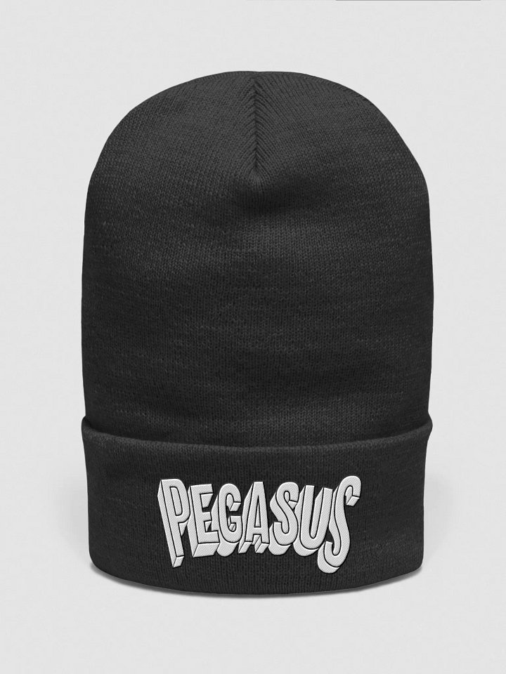 Pegasus Embroidered Beanie product image (1)